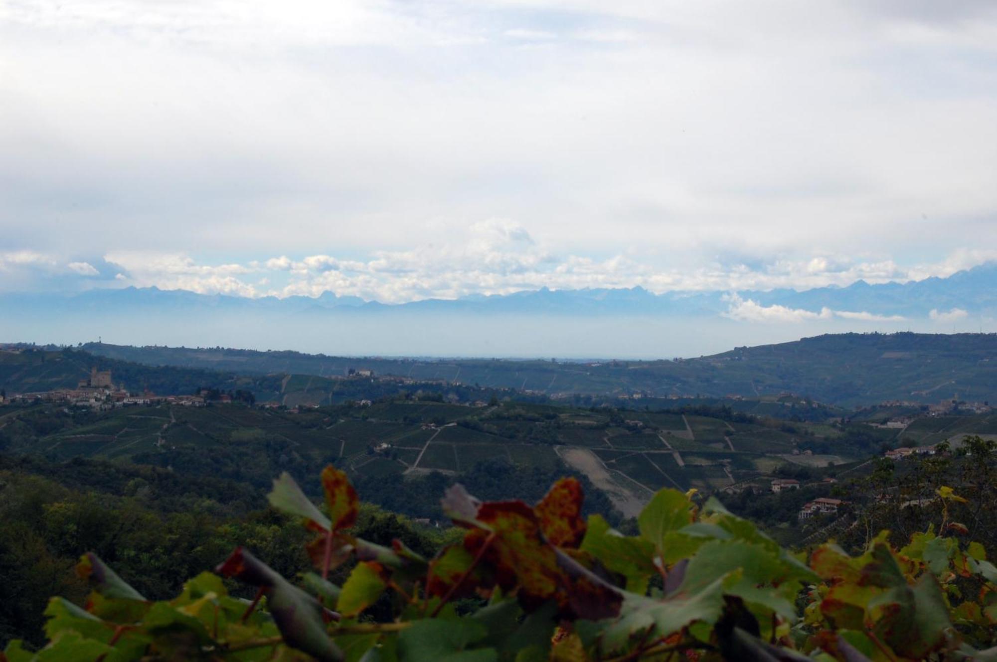 Agriturismo 'D Raine Villa Montelupo Albese Exterior foto